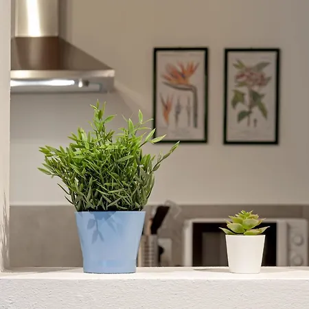 Apartment Art&living